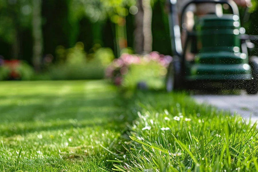 best self-propelled battery lawn mower